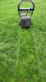 Аериране, вертикулиране и косене на тревни площи (райграс)