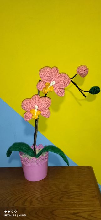 Ръчно плетена орхидея (Вечна)