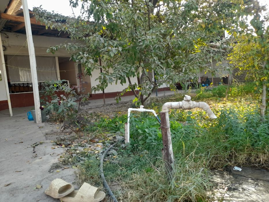 NURAFSHON SH. Uy sotiladi 3 sotix 3 xona