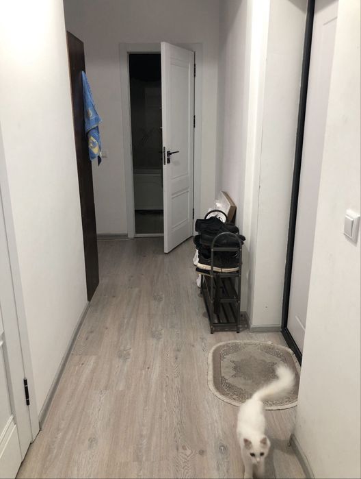 Аренда. Квартира