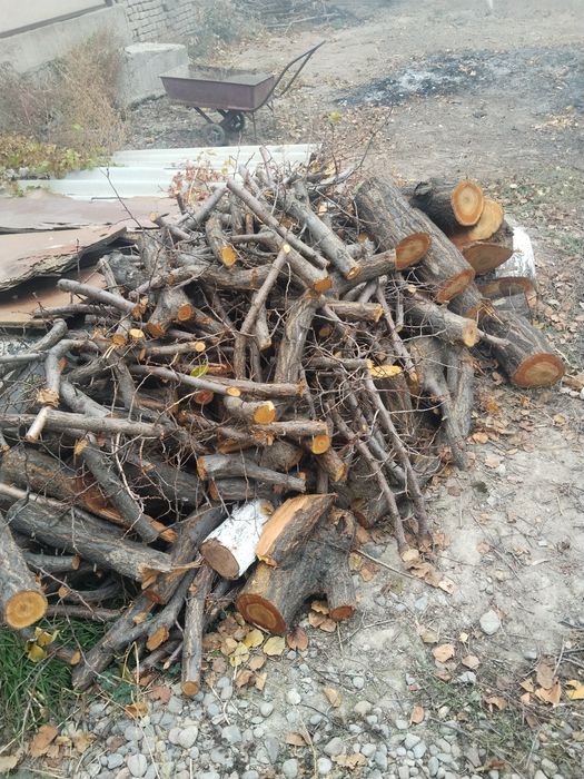 Орюк фруктовыи чистая орюк для жарки  шашлика