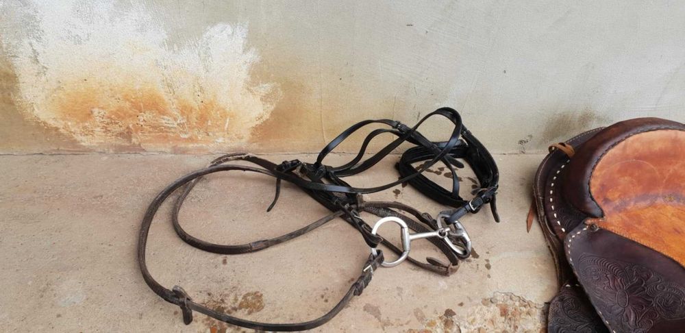 Sa de calarie in condiții impecabile completa