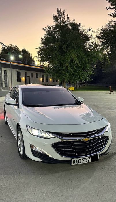 Malibu premier oq 2020