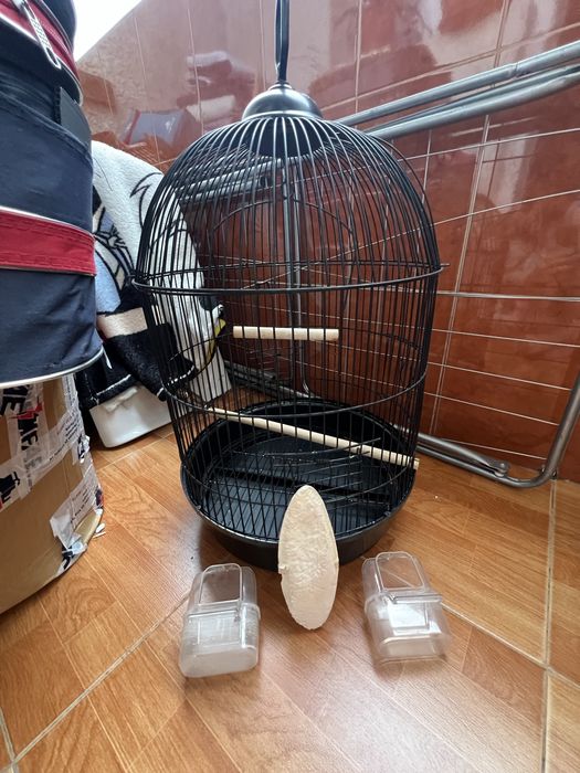 Cusca papagali stare noua