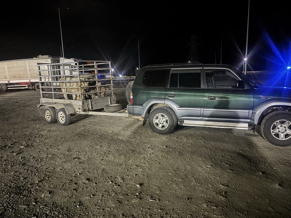 прицеп коневоз сатылады 2осный