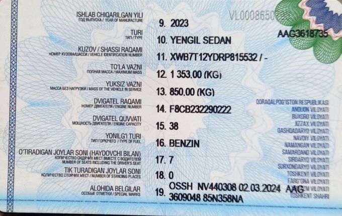 Damas holati yangi