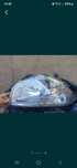 Vand far logan, lodgy,dokker,ford si de reparat duster