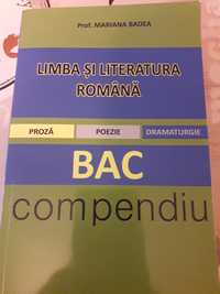 Carti diverse :bac limba și literatura română,bac geografie,geografie