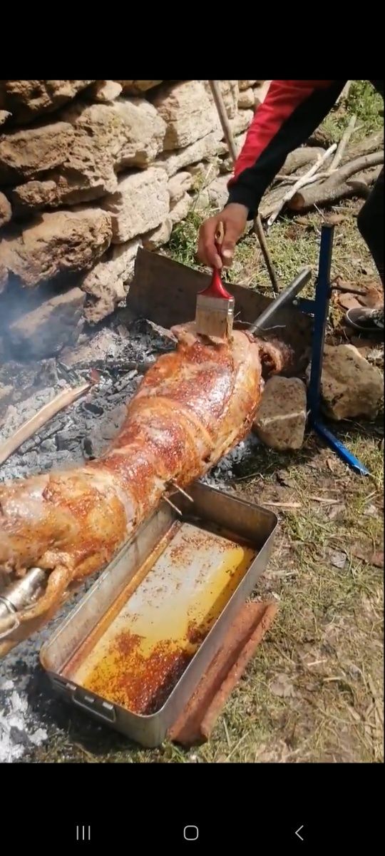 Чевермета  електрически,скари,шишове