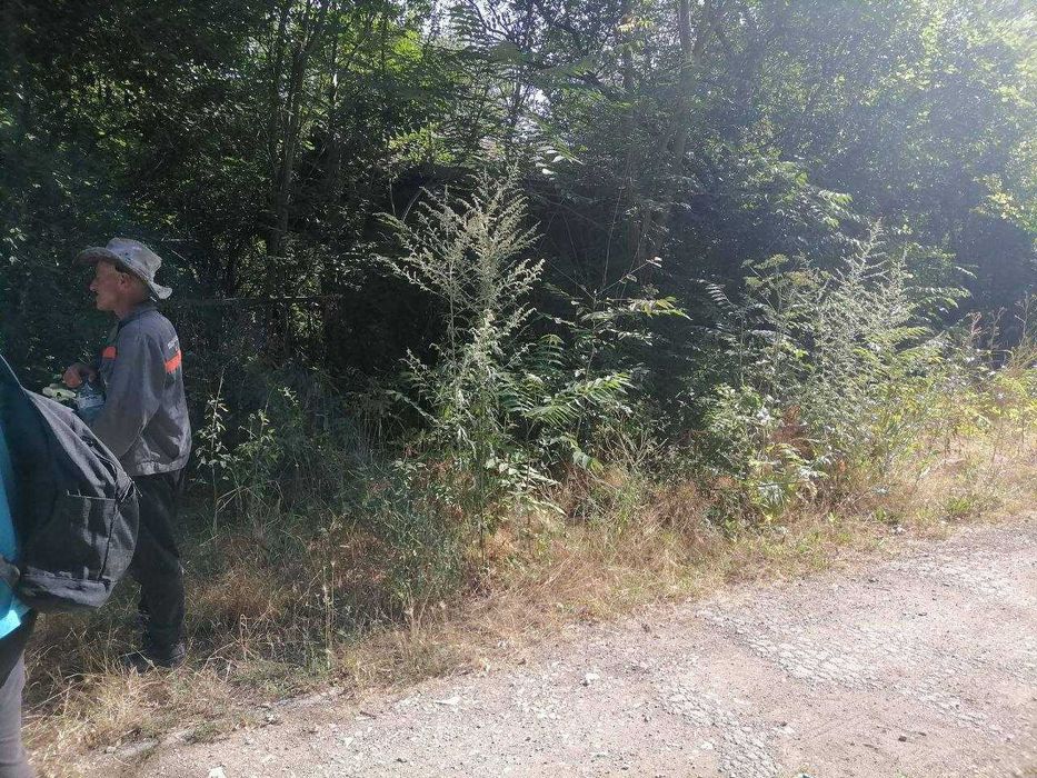 Почистване на изоставени и запустели имоти