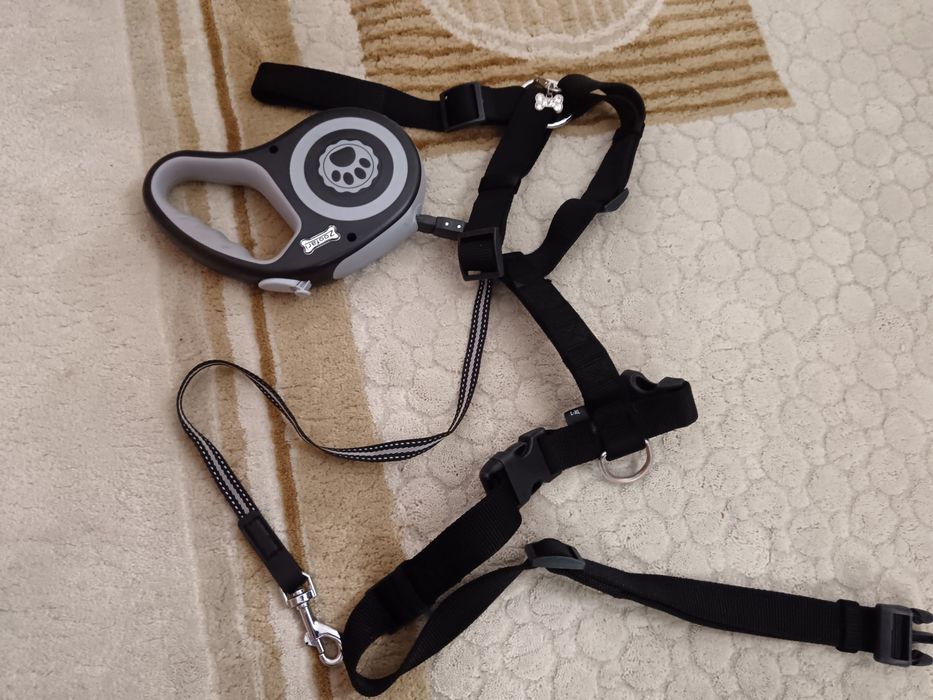 Lesa și ham pentru câini