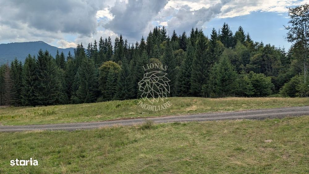 OFERTA! Teren intravilan 530 mp cu utilitati-ideal cabana-Colibita