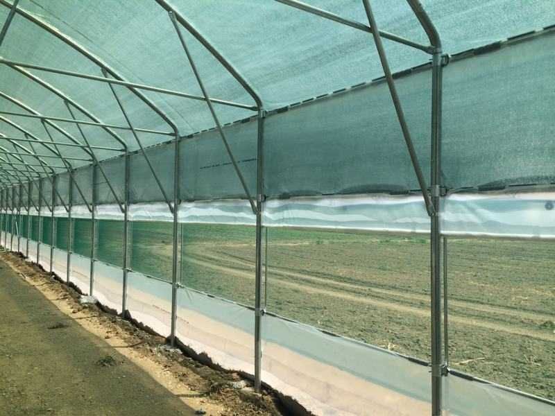 Продавам тунелна оранжерия