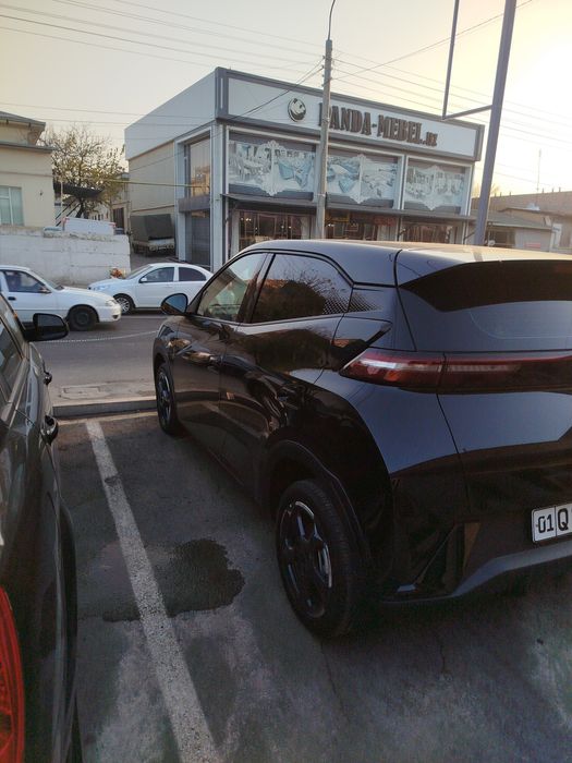 BYD SEAGULL 2024 yil