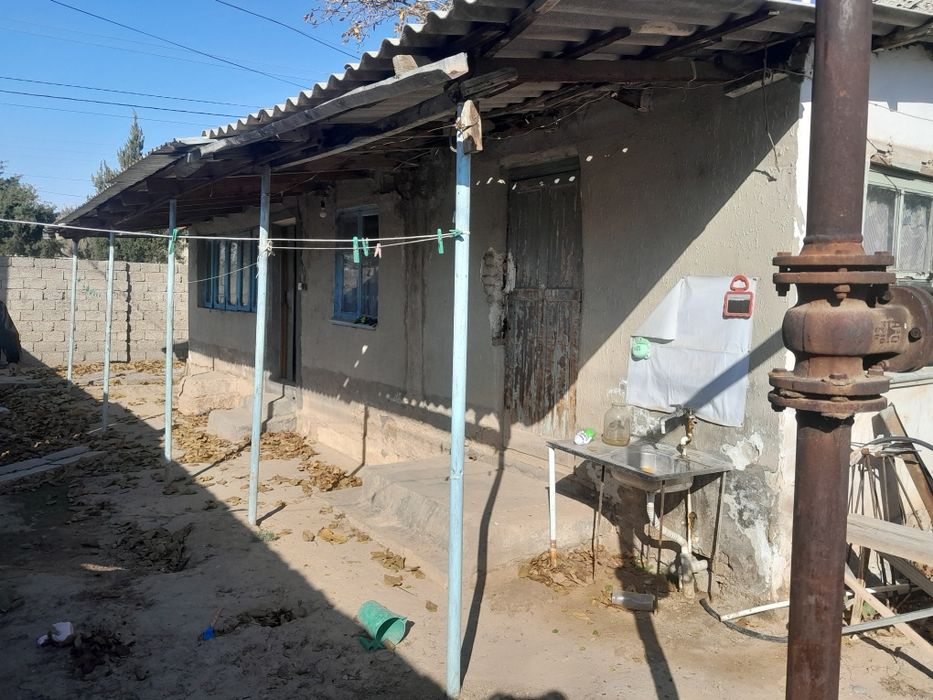 Surochna xovil sotiladi arzon narxda