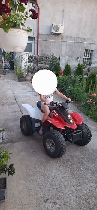 ATV ( Quad ) HONDA T-REX  2010 2 Tipmi