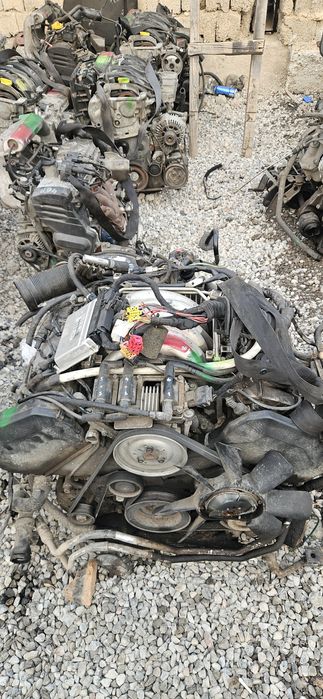 Маторы из европы