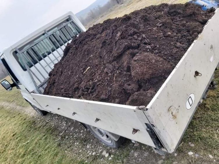 Gunoi de grajd putred