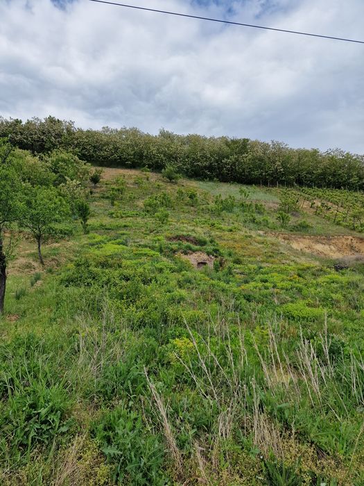 Vand teren intravilan ideal pentru cabana sau corturi glamping