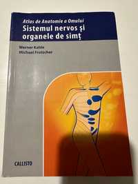 Atlas de Anatomie a Omului, Sistemul nervos și organele de simț