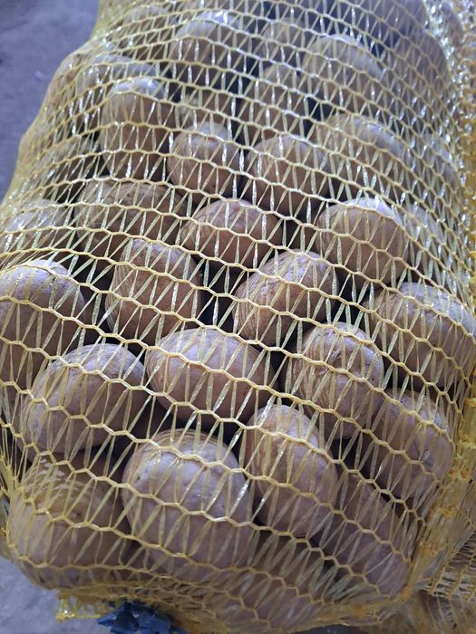 Картоф за семе сорт сорая.