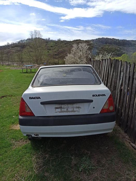 Solenza pentru Rabla