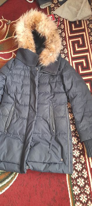 Айоллар курткаси