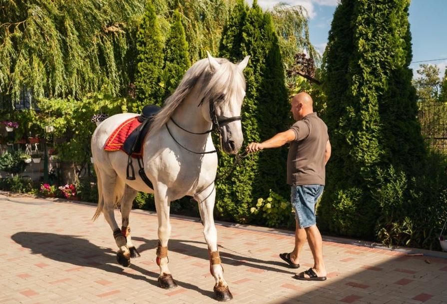 Vand Armasar Andaluz