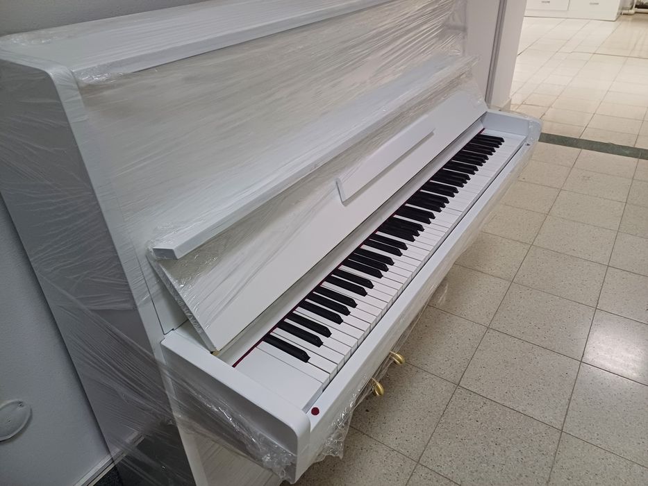 Oq rangli yangi Belarus