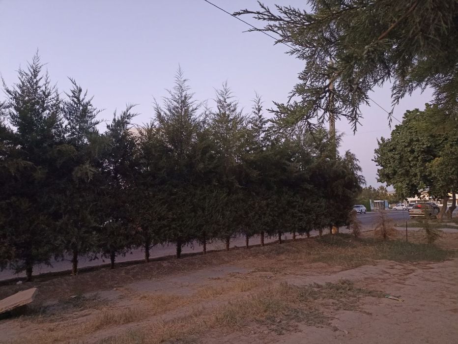 Срочно продается квартира,на 1 этаже,на первой линии,4/1/5