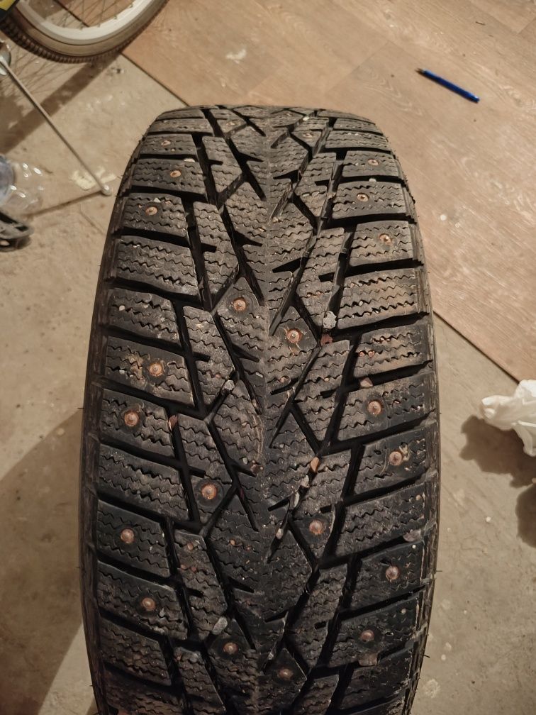 195/55 R16 зимние шины Double star Dw01