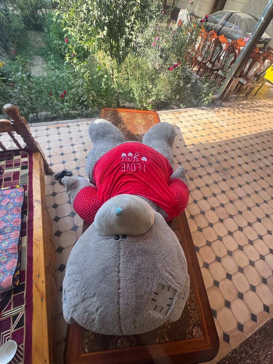 Teddiy ayiqchamz bor hali yapyangi ajoyib sovg'a