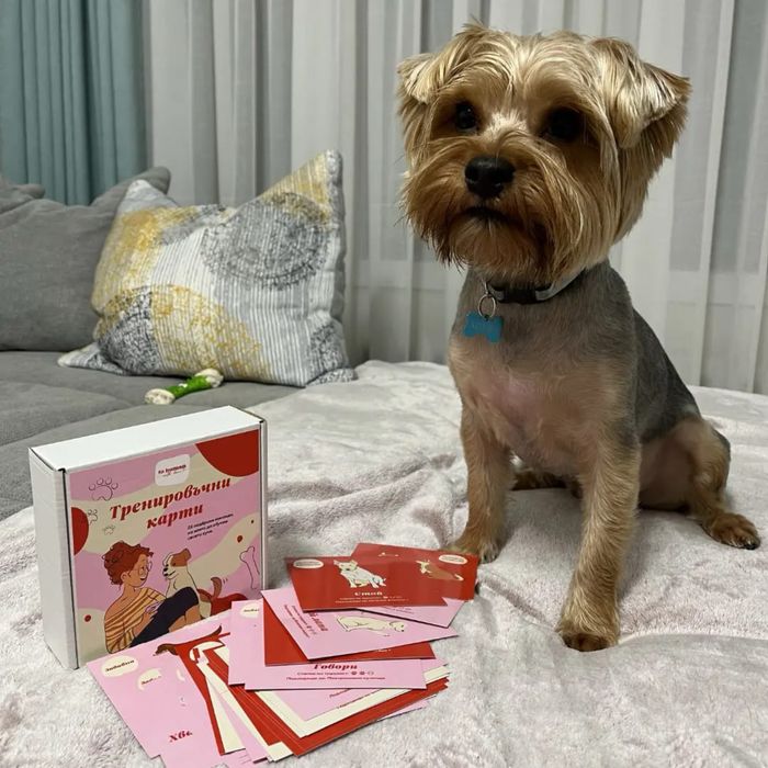 Тренировъчни карти за куче