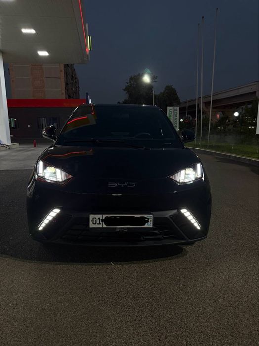 Byd seagull 405 km 2024 yil