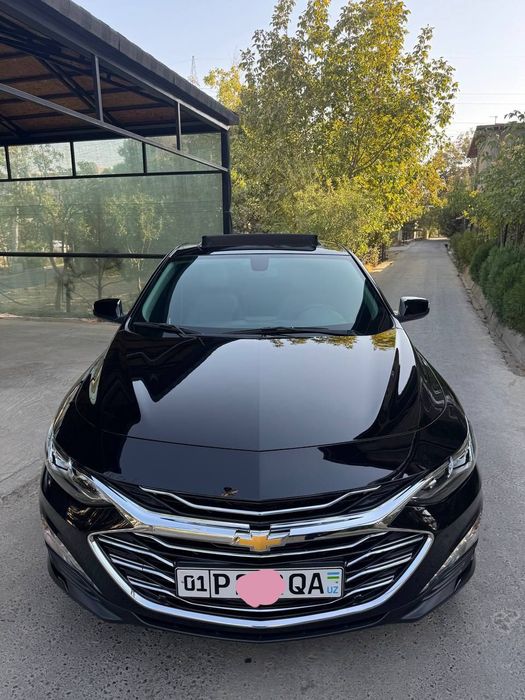 Малибу. .2022   Примэр.  Кора.