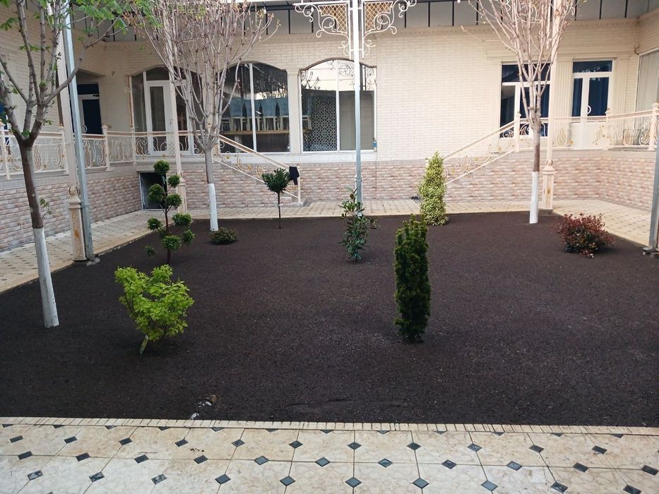 Gazon ekish va avto palif