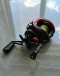 Mulineta casting