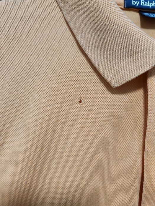 Polo Ralph Lauren оригинална мъжка тениска