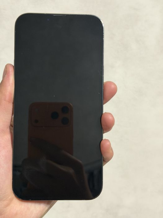 iPhone 13 Pro Max 256