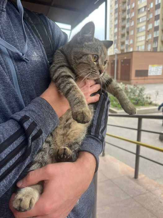 Отдается девочка в отличную семью
