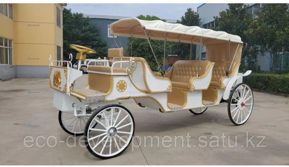 Карета для прогулок