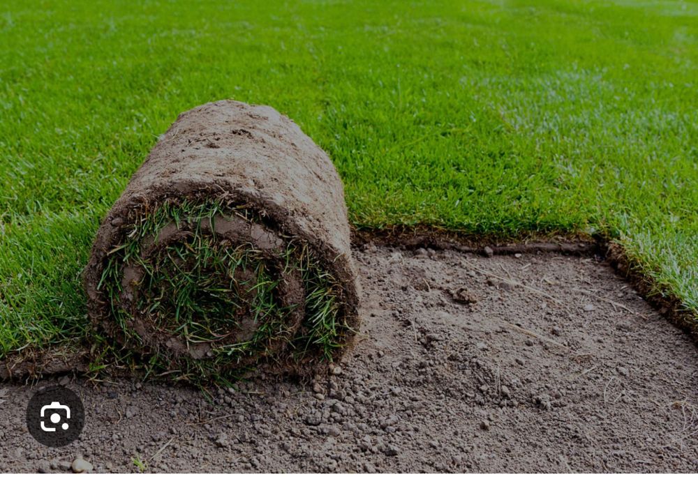 Gazon Rulou sport/rustic