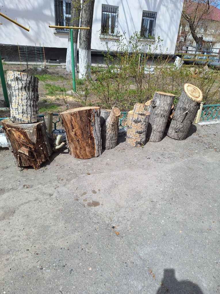 Продам дрова 5000тенге