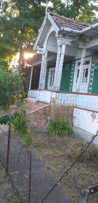 Case de vânzare în Văleni, Vaslui – 4.500 m² teren