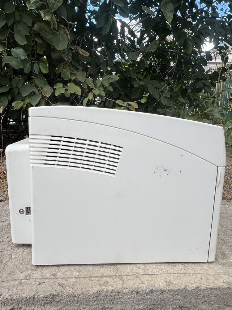 Принтер xerox phaser 3117