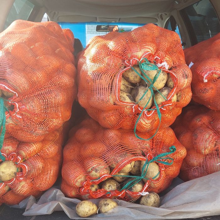 Продам картофель