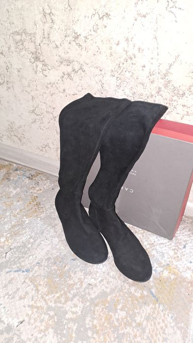 Zamj etiklar. Holati yaxshi