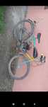 Motor de bicicleta +bicicleta