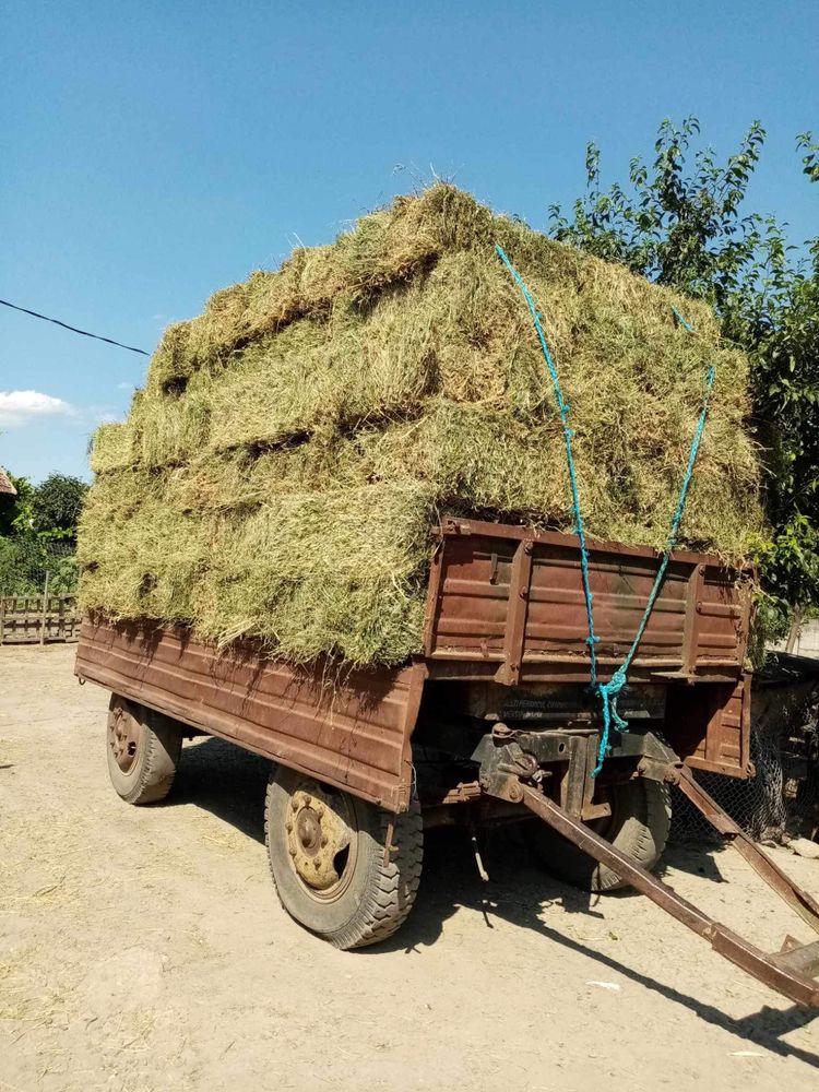 Baloți lucernă și fân.