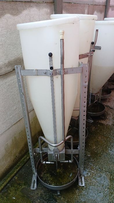 Hranitori porci,boxe fatare,gratare